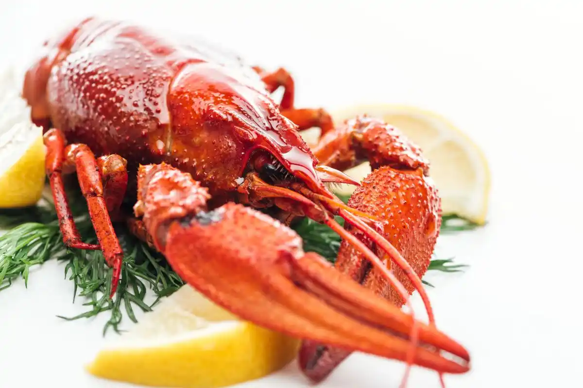 bogavante-principal2.webp