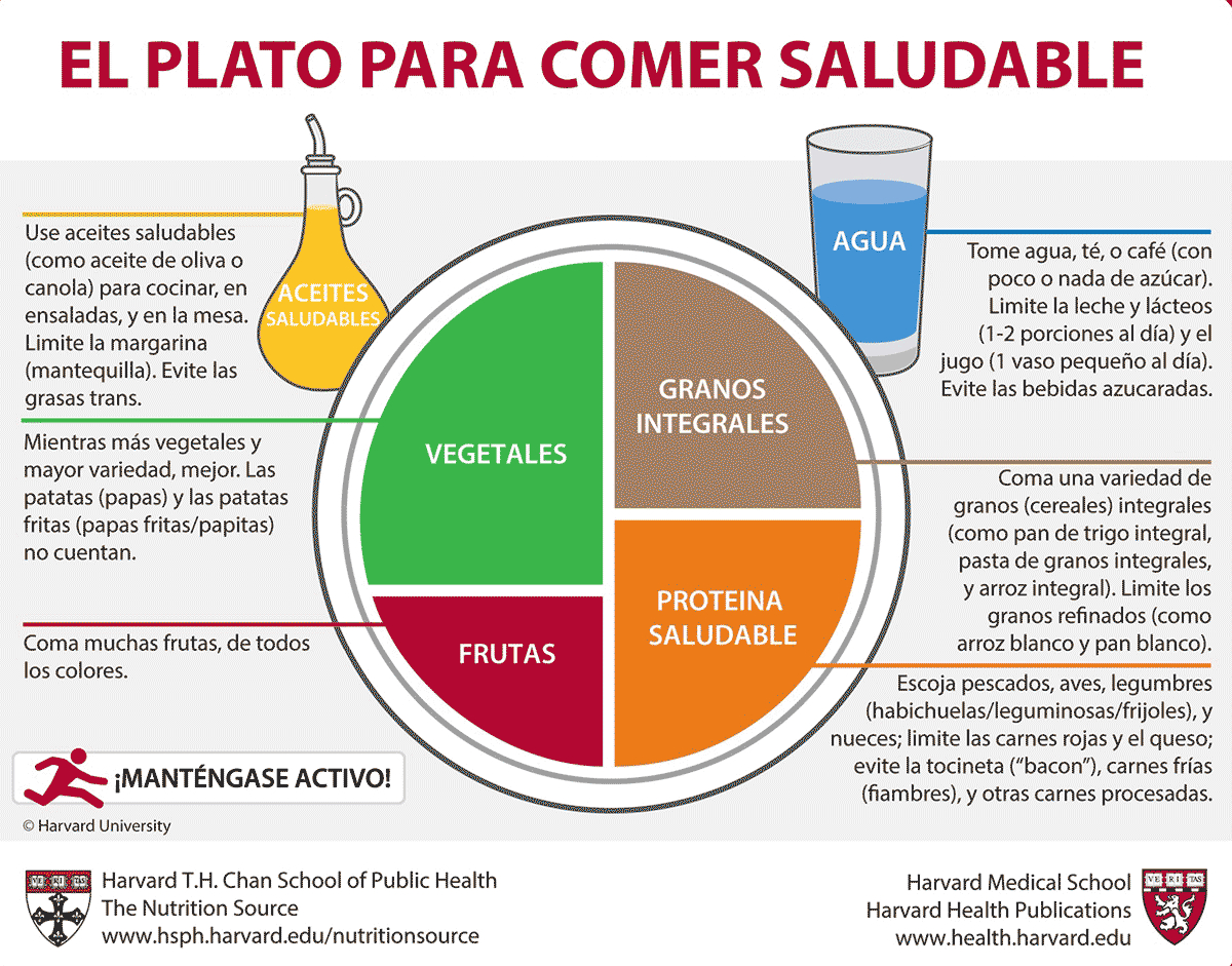 Gráfico del Plato de Harvard sobre alimentación saludable