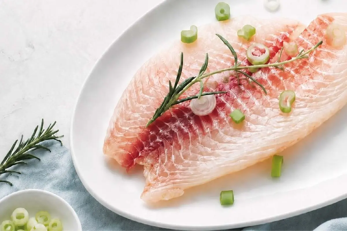 tilapia